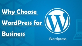 Why Choose WordPress for Business