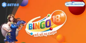 Mẹo Chơi Xổ Số Bingo Dễ Thắng - Bí Kíp Cho Anh Em Đam Mê