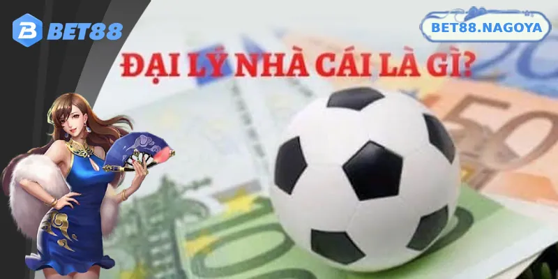 Phạm vi hợp tác và cách tính hoa hồng
