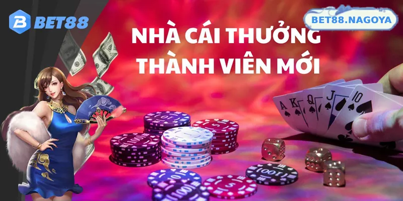 Thời hạn, yêu cầu sử dụng và trạng thái